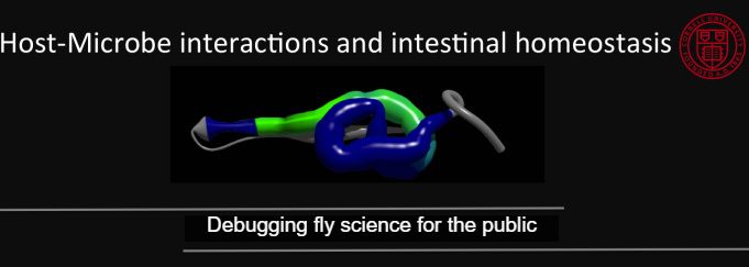Useful Links The Buchon Lab